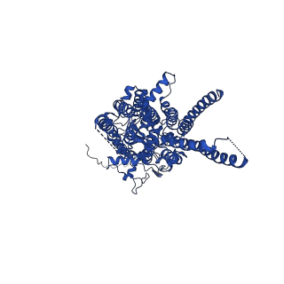15421_8age_A_v1-0
Structure of yeast oligosaccharylransferase complex with acceptor peptide bound