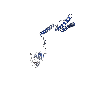 15421_8age_F_v1-0
Structure of yeast oligosaccharylransferase complex with acceptor peptide bound