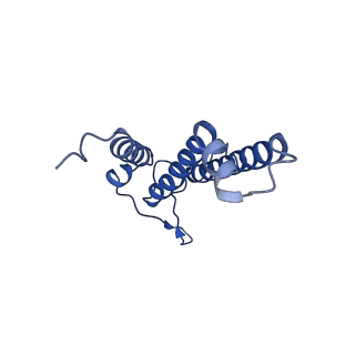 15421_8age_H_v1-0
Structure of yeast oligosaccharylransferase complex with acceptor peptide bound