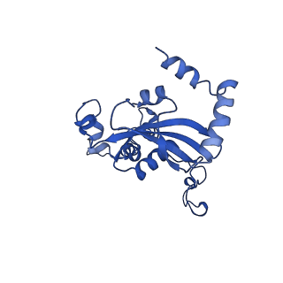 15423_8agt_A_v1-0
Yeast RQC complex in state F