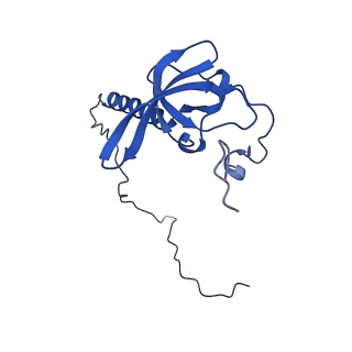 15423_8agt_G_v1-0
Yeast RQC complex in state F