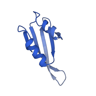 15423_8agt_X_v1-0
Yeast RQC complex in state F