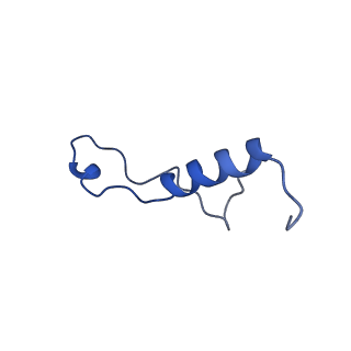 15423_8agt_Y_v1-0
Yeast RQC complex in state F