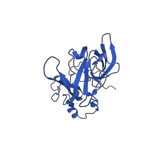 15423_8agt_j_v1-0
Yeast RQC complex in state F
