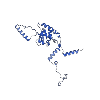 15423_8agt_p_v1-0
Yeast RQC complex in state F