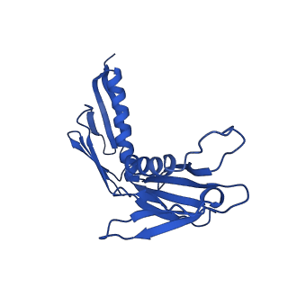 15423_8agt_q_v1-0
Yeast RQC complex in state F