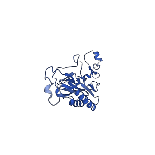 15423_8agt_r_v1-0
Yeast RQC complex in state F