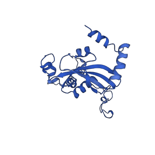 15428_8agz_A_v1-0
Yeast RQC complex in state with the RING domain of Ltn1 in the OUT position