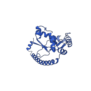 15428_8agz_B_v1-0
Yeast RQC complex in state with the RING domain of Ltn1 in the OUT position
