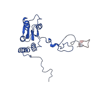 15428_8agz_D_v1-0
Yeast RQC complex in state with the RING domain of Ltn1 in the OUT position
