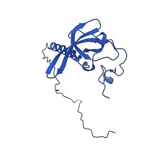 15428_8agz_G_v1-0
Yeast RQC complex in state with the RING domain of Ltn1 in the OUT position