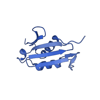 15428_8agz_H_v1-0
Yeast RQC complex in state with the RING domain of Ltn1 in the OUT position