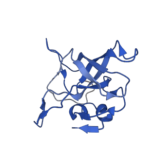 15428_8agz_I_v1-0
Yeast RQC complex in state with the RING domain of Ltn1 in the OUT position