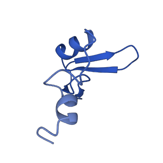15428_8agz_J_v1-0
Yeast RQC complex in state with the RING domain of Ltn1 in the OUT position
