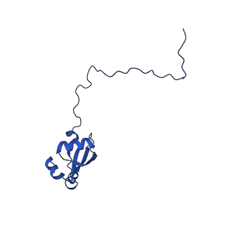 15428_8agz_K_v1-0
Yeast RQC complex in state with the RING domain of Ltn1 in the OUT position