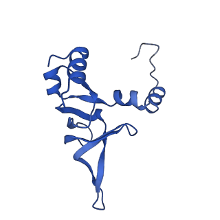 15428_8agz_L_v1-0
Yeast RQC complex in state with the RING domain of Ltn1 in the OUT position