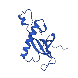 15428_8agz_M_v1-0
Yeast RQC complex in state with the RING domain of Ltn1 in the OUT position