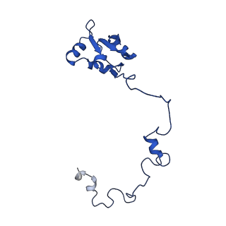 15428_8agz_N_v1-0
Yeast RQC complex in state with the RING domain of Ltn1 in the OUT position