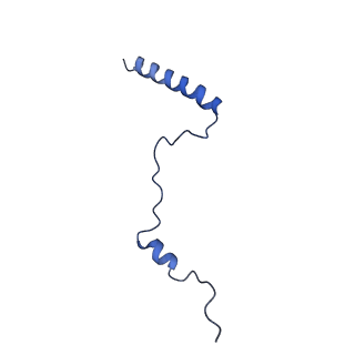 15428_8agz_O_v1-0
Yeast RQC complex in state with the RING domain of Ltn1 in the OUT position