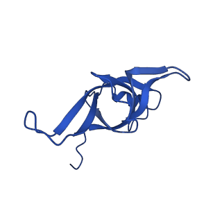 15428_8agz_S_v1-0
Yeast RQC complex in state with the RING domain of Ltn1 in the OUT position