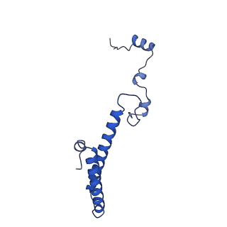 15428_8agz_U_v1-0
Yeast RQC complex in state with the RING domain of Ltn1 in the OUT position