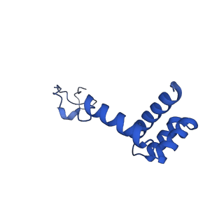 15428_8agz_V_v1-0
Yeast RQC complex in state with the RING domain of Ltn1 in the OUT position
