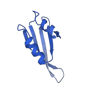 15428_8agz_X_v1-0
Yeast RQC complex in state with the RING domain of Ltn1 in the OUT position