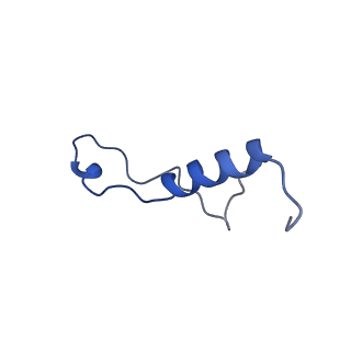 15428_8agz_Y_v1-0
Yeast RQC complex in state with the RING domain of Ltn1 in the OUT position