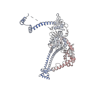 15428_8agz_a_v1-0
Yeast RQC complex in state with the RING domain of Ltn1 in the OUT position