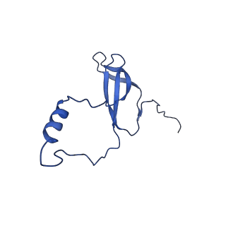 15428_8agz_b_v1-0
Yeast RQC complex in state with the RING domain of Ltn1 in the OUT position
