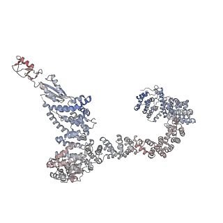 15428_8agz_e_v1-0
Yeast RQC complex in state with the RING domain of Ltn1 in the OUT position