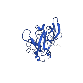15428_8agz_j_v1-0
Yeast RQC complex in state with the RING domain of Ltn1 in the OUT position