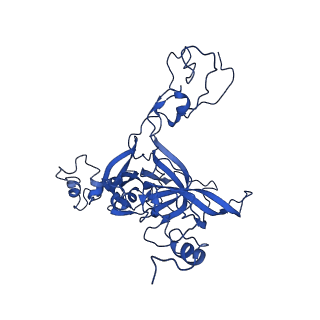 15428_8agz_k_v1-0
Yeast RQC complex in state with the RING domain of Ltn1 in the OUT position