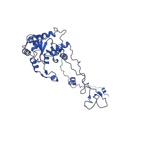 15428_8agz_l_v1-0
Yeast RQC complex in state with the RING domain of Ltn1 in the OUT position