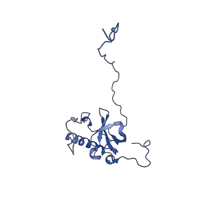 15428_8agz_n_v1-0
Yeast RQC complex in state with the RING domain of Ltn1 in the OUT position