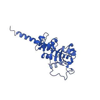 15428_8agz_o_v1-0
Yeast RQC complex in state with the RING domain of Ltn1 in the OUT position