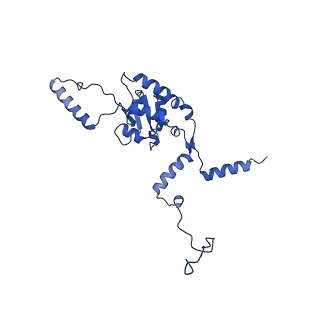 15428_8agz_p_v1-0
Yeast RQC complex in state with the RING domain of Ltn1 in the OUT position