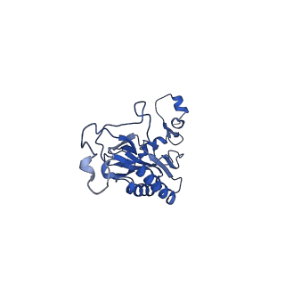 15428_8agz_r_v1-0
Yeast RQC complex in state with the RING domain of Ltn1 in the OUT position