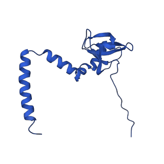 15428_8agz_u_v1-0
Yeast RQC complex in state with the RING domain of Ltn1 in the OUT position