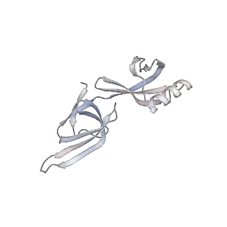 15428_8agz_v_v1-0
Yeast RQC complex in state with the RING domain of Ltn1 in the OUT position