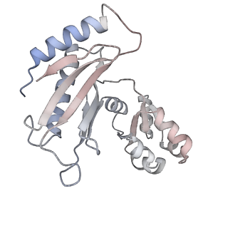 15428_8agz_w_v1-0
Yeast RQC complex in state with the RING domain of Ltn1 in the OUT position