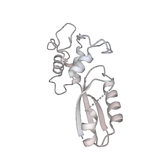 15428_8agz_z_v1-0
Yeast RQC complex in state with the RING domain of Ltn1 in the OUT position