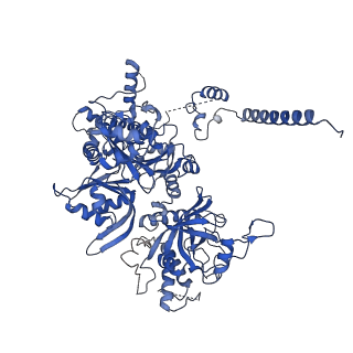 9616_6agb_B_v1-3
Cryo-EM structure of yeast Ribonuclease P