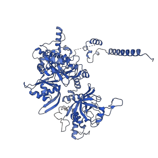 9616_6agb_B_v1-4
Cryo-EM structure of yeast Ribonuclease P