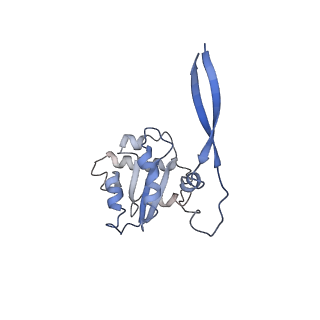 9616_6agb_C_v1-3
Cryo-EM structure of yeast Ribonuclease P