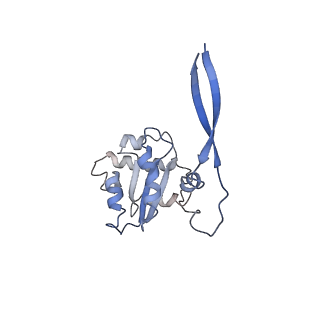 9616_6agb_C_v1-4
Cryo-EM structure of yeast Ribonuclease P