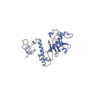 9616_6agb_D_v1-3
Cryo-EM structure of yeast Ribonuclease P