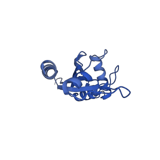 9616_6agb_E_v1-3
Cryo-EM structure of yeast Ribonuclease P