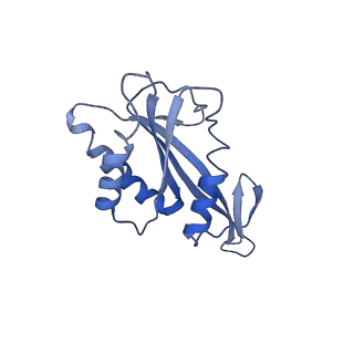9616_6agb_F_v1-3
Cryo-EM structure of yeast Ribonuclease P