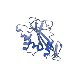 9616_6agb_F_v1-4
Cryo-EM structure of yeast Ribonuclease P